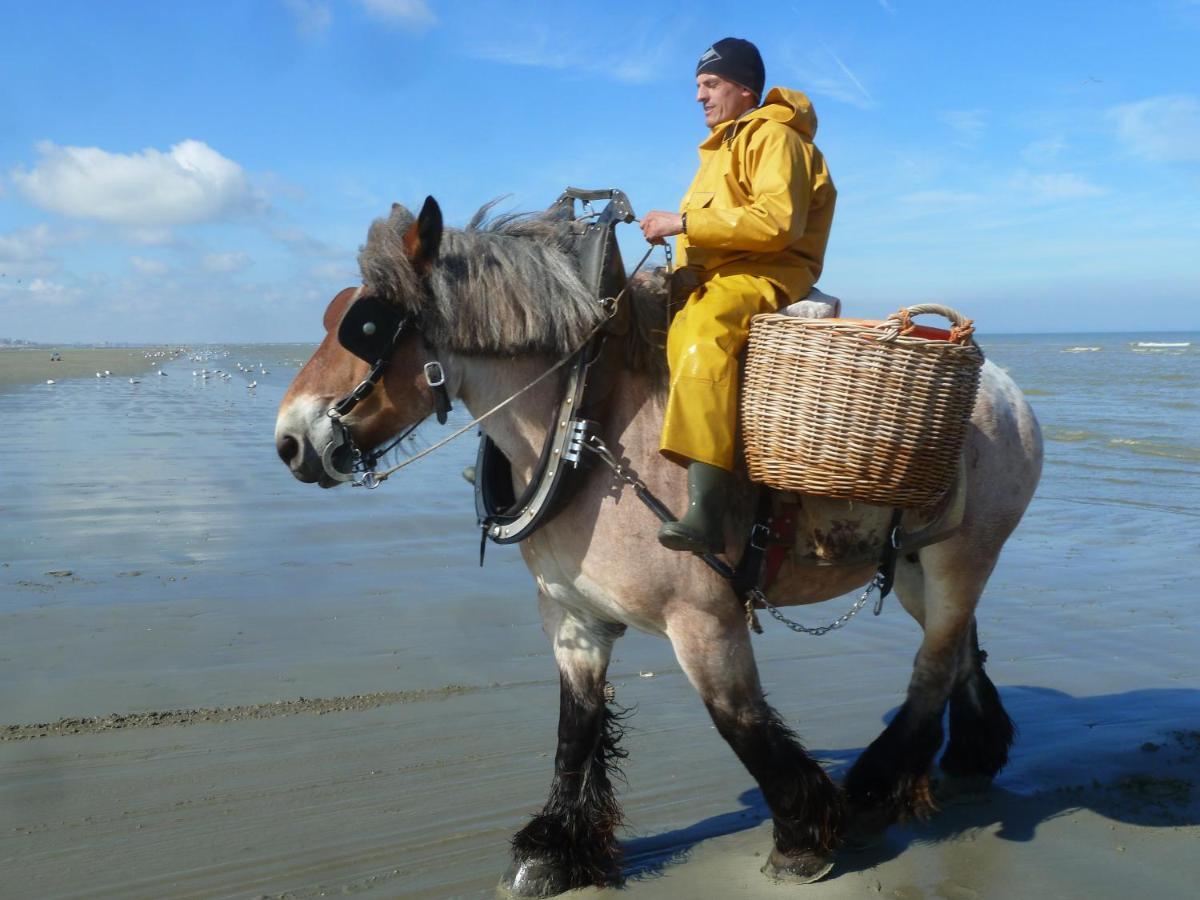 Holiday Home Garnaalhuisje Oostduinkerke Eksteriør billede